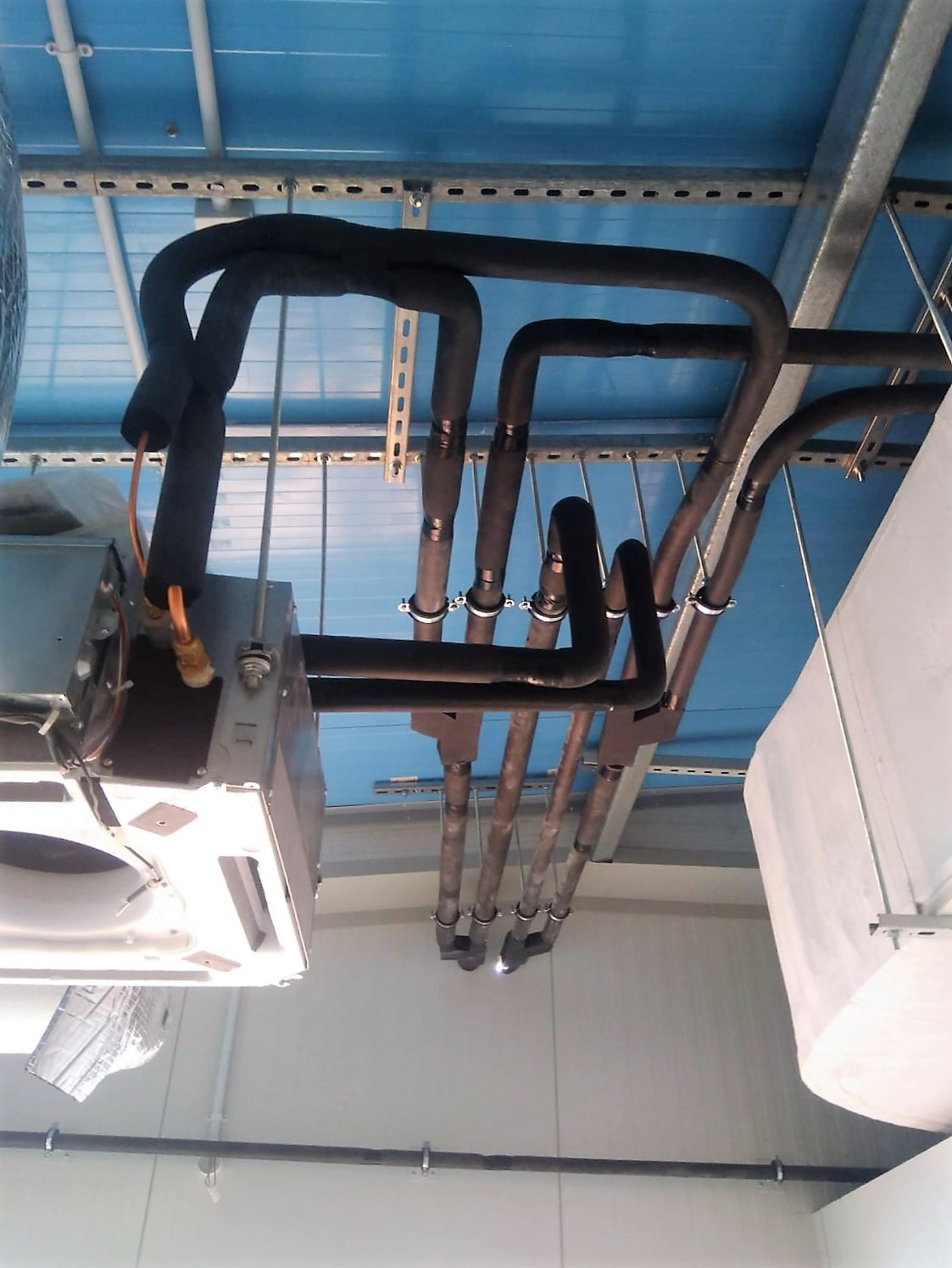 WhatsApp Image 2024-07-30 at 11.54.29 AM